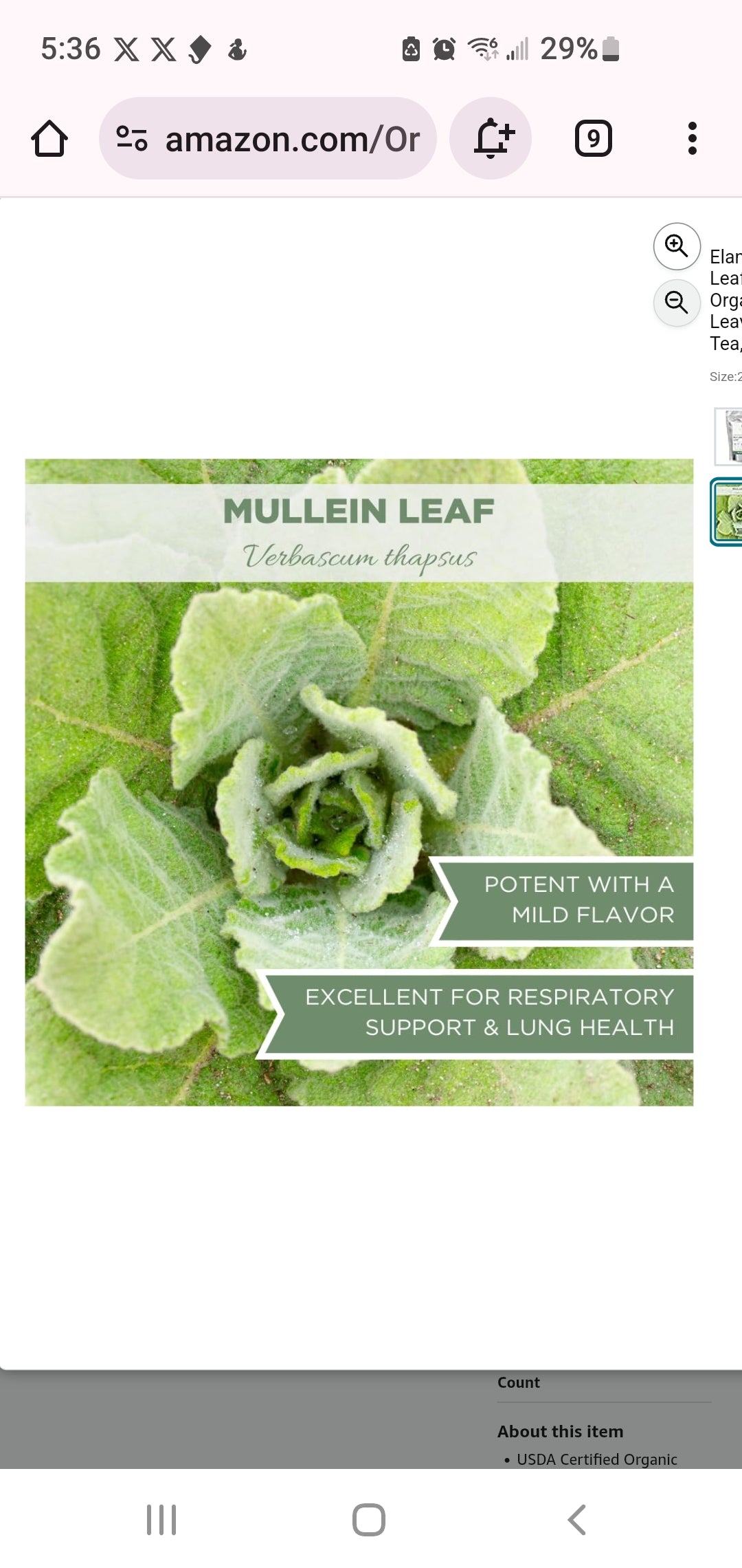 Organic Mullein Leaf Tea 8oz - USDA Certified, Lung Support, Non-GMO